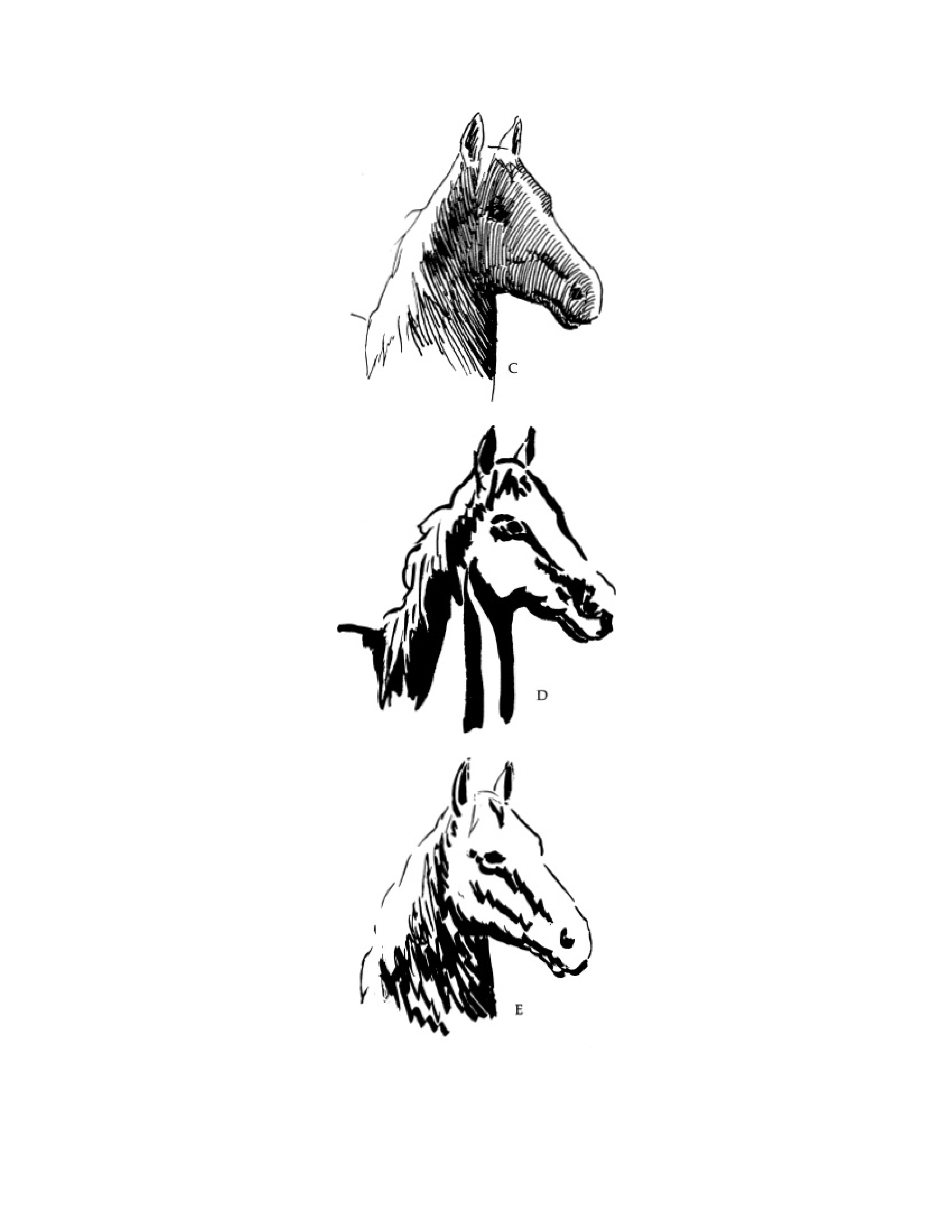 آموزش نقاشی طراحی سیاه قلم شهرری